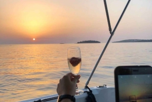 Z Poreča: wieczorny rejs z delfinami z drinkiem powitalnym