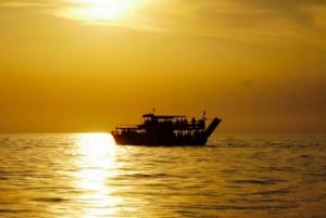 Z Poreča: wieczorny rejs z delfinami z drinkiem powitalnym