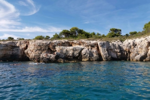 From Pula: 4-Hour Speedboat Tour to Kamenjak