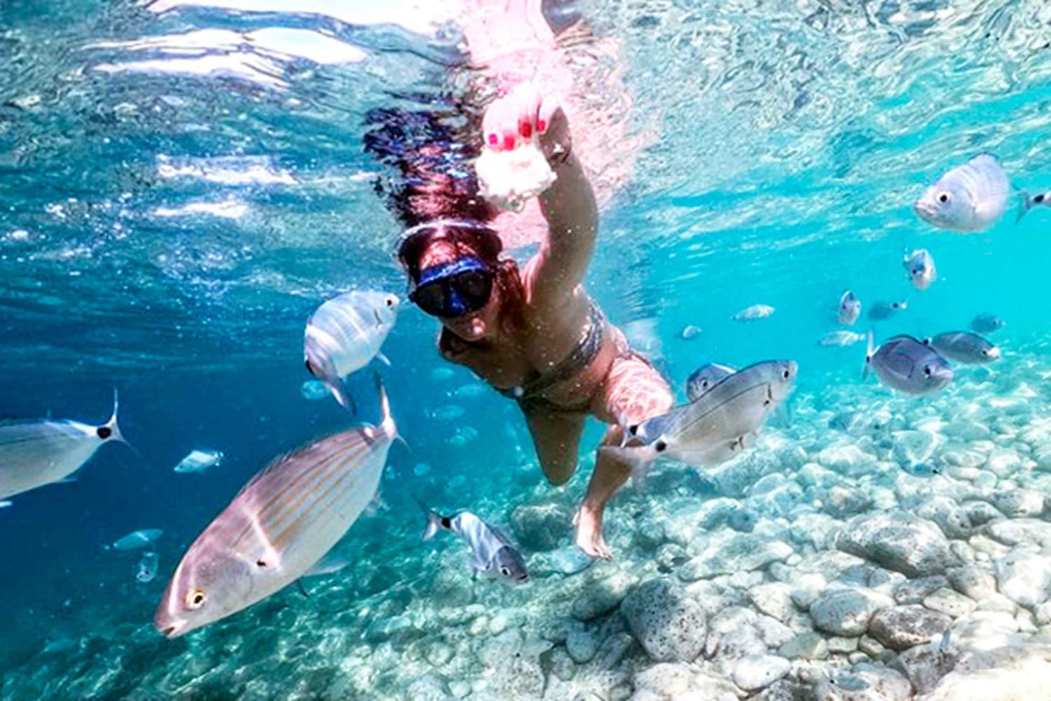 De Pula: Paragem na ilha e cruzeiro de um dia no Parque Nacional