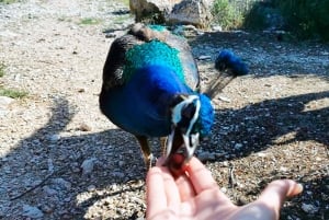 De Pula: Paragem na ilha e cruzeiro de um dia no Parque Nacional