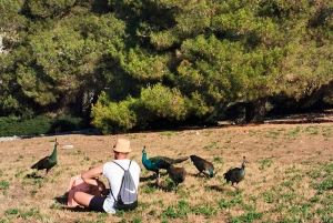 De Pula: Paragem na ilha e cruzeiro de um dia no Parque Nacional