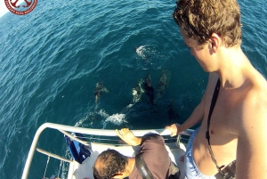 De Pula: Paragem na ilha e cruzeiro de um dia no Parque Nacional
