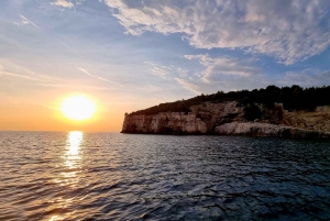 From Pula: Private Boat Tour and Brijuni National Park
