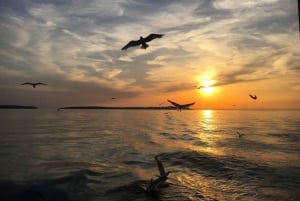 From Pula: Sunset Cruise with Dolphin Watching