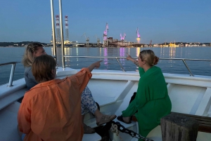 From Pula: Sunset Cruise with Dolphin Watching
