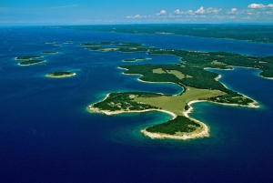 From Pula: Sunset Cruise with Dolphin Watching