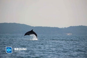 From Pula: Sunset Cruise with Dolphin Watching