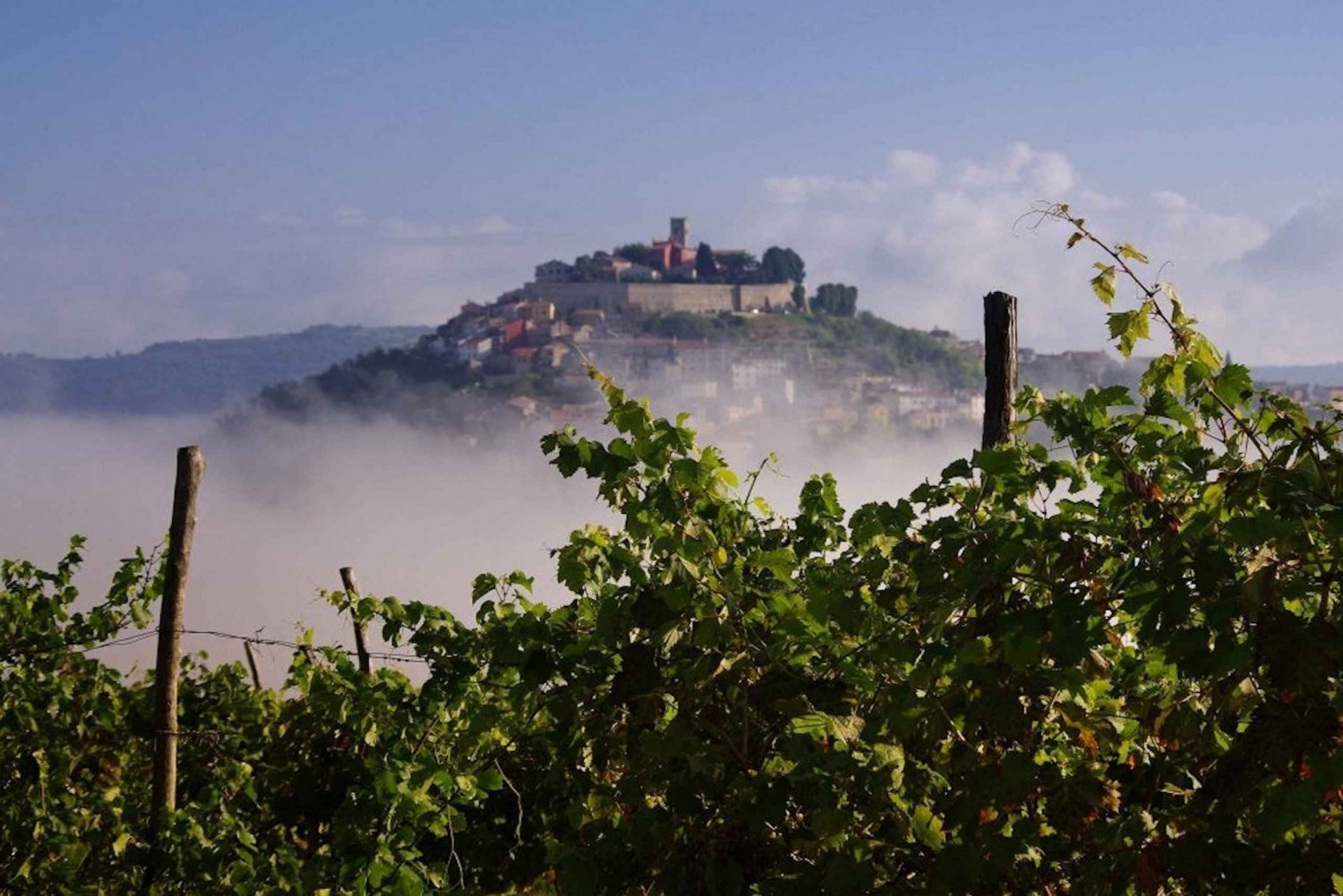 De Rovinj: Istria em um tour de 1 dia com degustação de trufas
