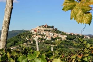 Vanuit Rovinj: Istrië in 1 dagtour met truffelproeverij