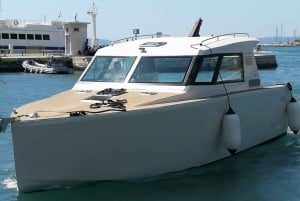 Splitistä: 5 saaren ja sinisen luolan venekierros