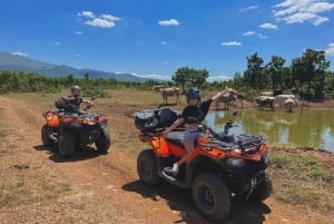 Da Spalato: Tour adrenalinico safari in quad
