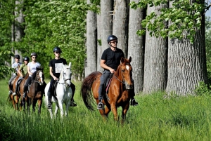 From Split: All-Inclusive Horse Riding and Jeep Exploration