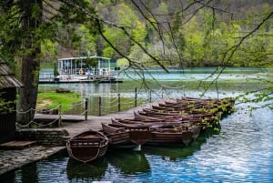 Da Spalato/Trogir: Tour guidato di gruppo dei Laghi di Plitvice