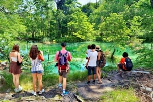 Da Spalato/Trogir: Tour guidato di gruppo dei Laghi di Plitvice