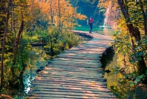 De Split/Trogir: Tour guiado em grupo pelos Lagos Plitvice