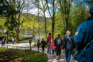 Da Spalato/Trogir: Tour guidato di gruppo dei Laghi di Plitvice