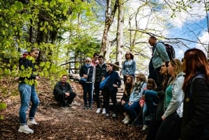 Au départ de Split/Trogir : Visite guidée des lacs de Plitvice en groupe