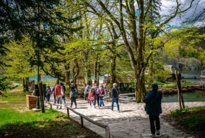 Da Spalato/Trogir: Tour guidato di gruppo dei Laghi di Plitvice