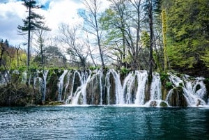 Från Split/Trogir: Guidad gruppresa till Plitvicesjöarna