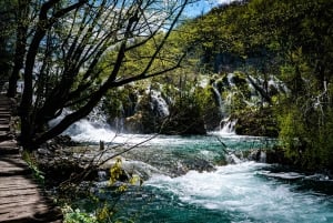 Da Spalato/Trogir: Tour guidato di gruppo dei Laghi di Plitvice