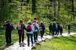 Vanuit Split/Trogir: Plitvice Meren Rondleiding voor groepen