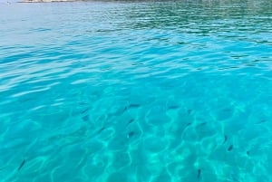 Depuis Split/Trogir : Lagon bleu et 2 îles - demi-journée privée