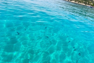 Depuis Split/Trogir : Lagon bleu et 2 îles - demi-journée privée