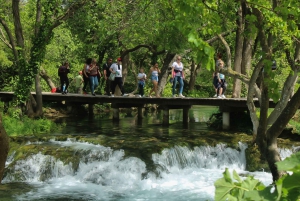 Dall'area di Spalato: tour privato del Parco Nazionale di Krka