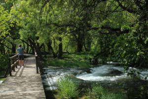 Dall'area di Spalato: tour privato del Parco Nazionale di Krka
