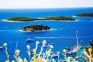 Från Split: Blå grottan och Hvar med lyxbåt