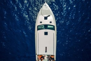 Van Split: Blue Cave en Hvar per luxe boot