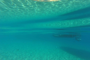 From Split: Blue Cave, Hvar and 5 Islands Private Tour