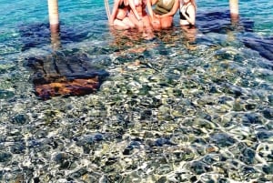 Vanuit Split: Blauwe grot, Hvar, Mamma Mia, rondvaart 5 eilanden