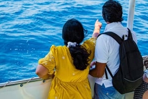 Fra Split: Bådtur til Den Blå Lagune og øerne med frokost