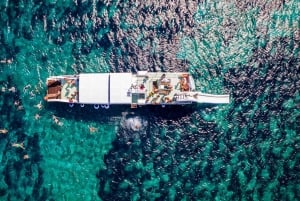 Fra Split: Bådtur til Den Blå Lagune og øerne med frokost