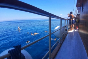 From Split: Brač and Šolta Island Cruise with Swimming