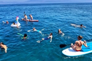 Ze Splitu: rejs na wyspy Brač i Šolta z pływaniem
