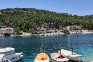 Ze Splitu: rejs na wyspy Brač i Šolta z pływaniem