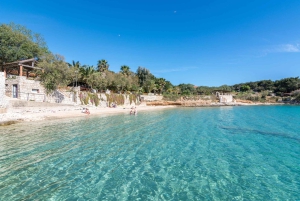 クロアチア、スプリト発：青の洞窟＆フヴァル島 5 島ツアー