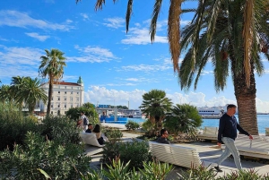 From Split Croatia: Wine Tour and Gourmet Experience