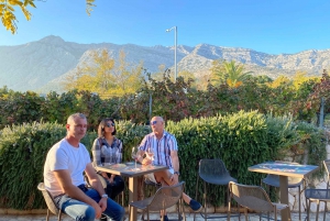 From Split Croatia: Wine Tour and Gourmet Experience