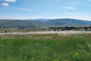 From Split: Dinara Nature Park Quad Adventure with Swimming