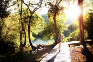 From Split: Krka Waterfalls Day Trip & Split Old Town Tour