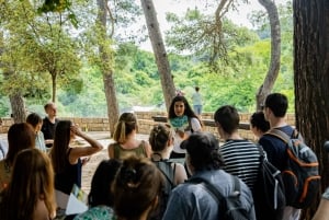 Vanuit Split: Krka watervallen cruise & Trogir wandeltour