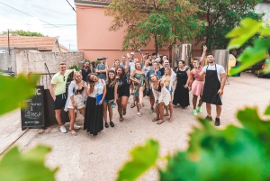 From Split: Krka Waterfalls, Food & Wine Tasting Tour