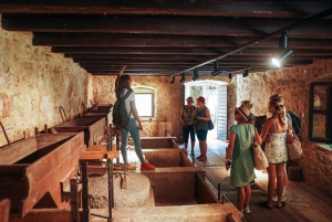From Split: Krka Waterfalls, Food & Wine Tasting Tour