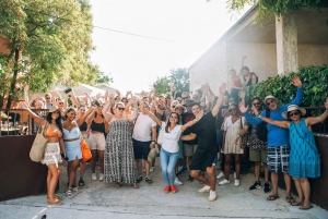From Split: Krka Waterfalls, Food & Wine Tasting Tour
