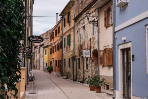 Fra Split: Krka-vandfald, mad- og vinsmagningstur