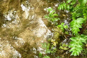 Vanuit Split: rondleiding bij de watervallen van Krka & korting op tickets